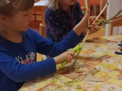 zeme-2025-003-scaled