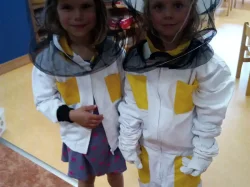 Náhled článku Včelařský rok