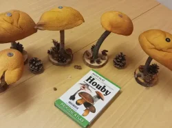 Náhled článku Houby rostou, kam se podíváš